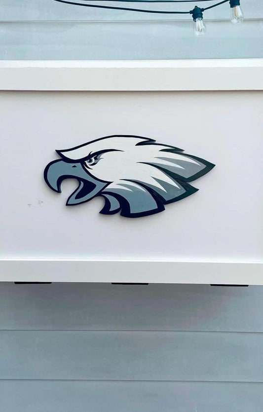 DIY Outdoor Eagles TV Cabinet Plan | Wall-Mount Build with Logo Guide (PDF)