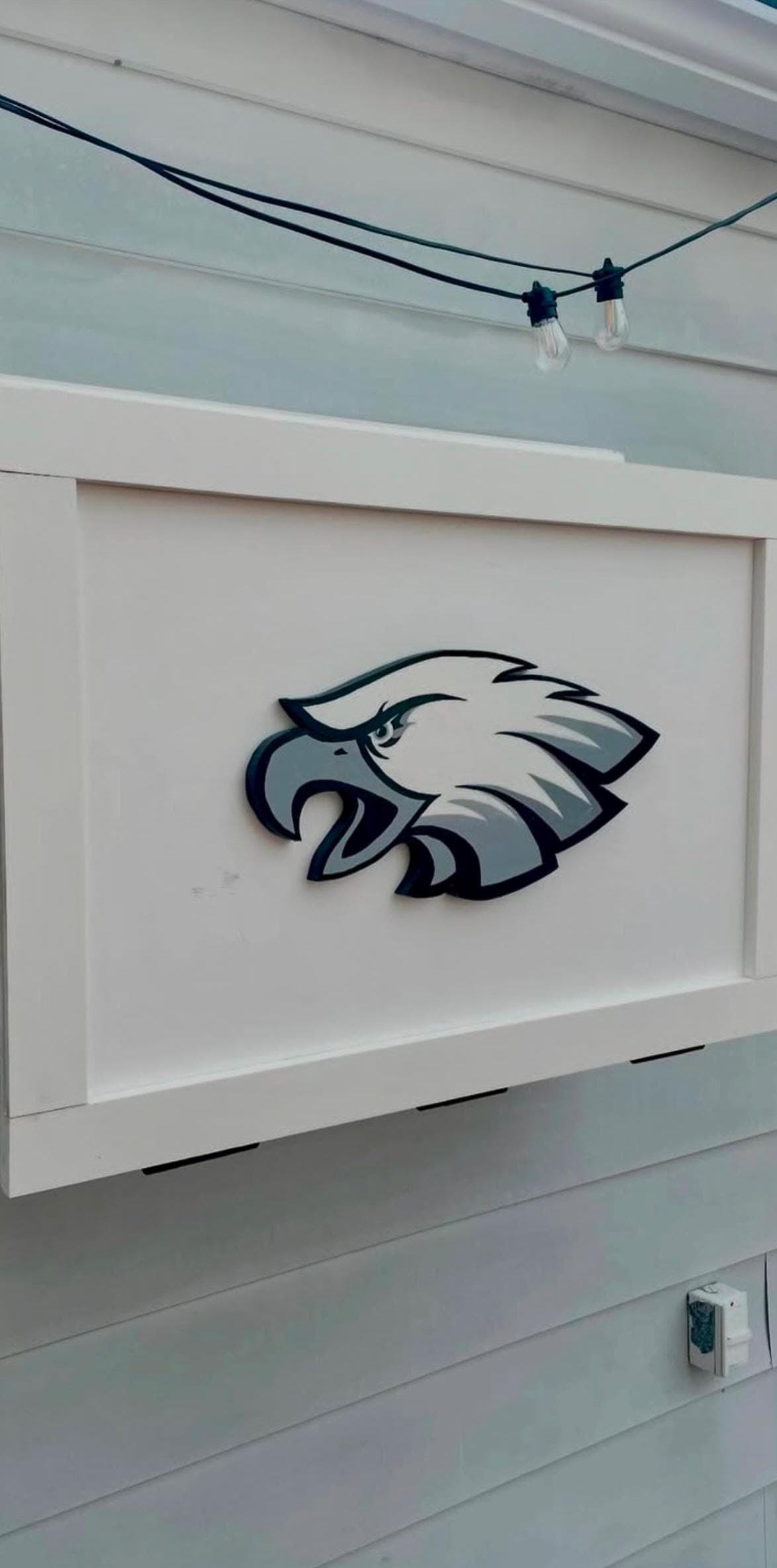 DIY Outdoor Eagles TV Cabinet Plan | Wall-Mount Build with Logo Guide (PDF)